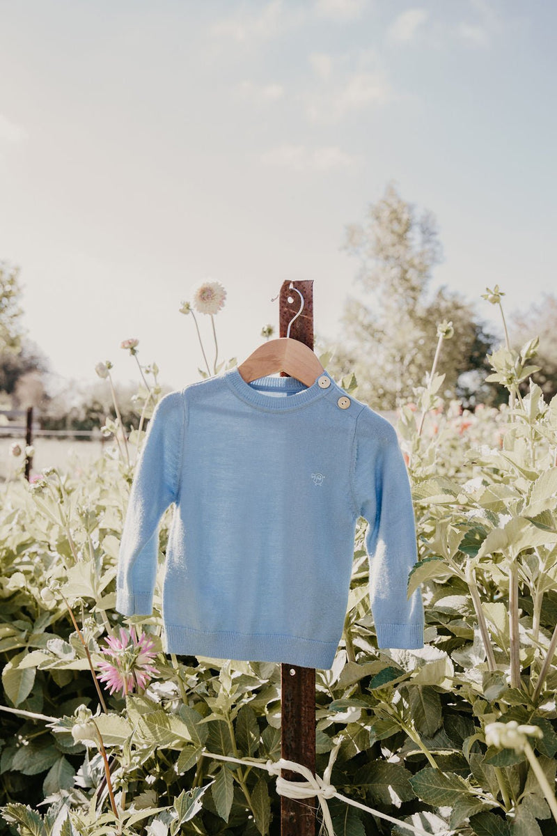 Extra fine on sale merino wool jumper